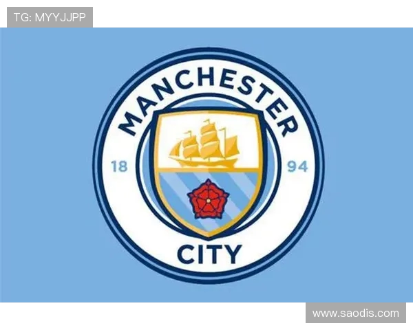 英超球队翻译：英超球队名称与标志的翻译与文化