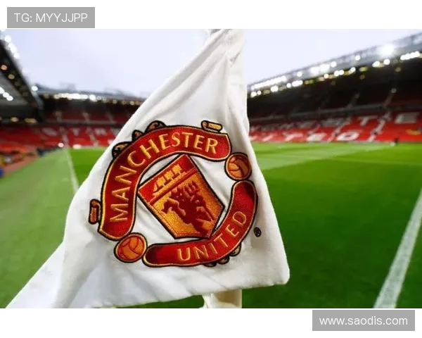 英超足球队的市场价值解读